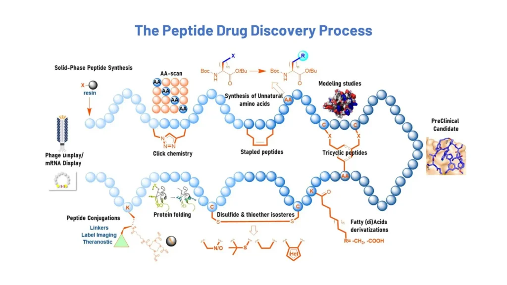 How to Cycle Research Peptides