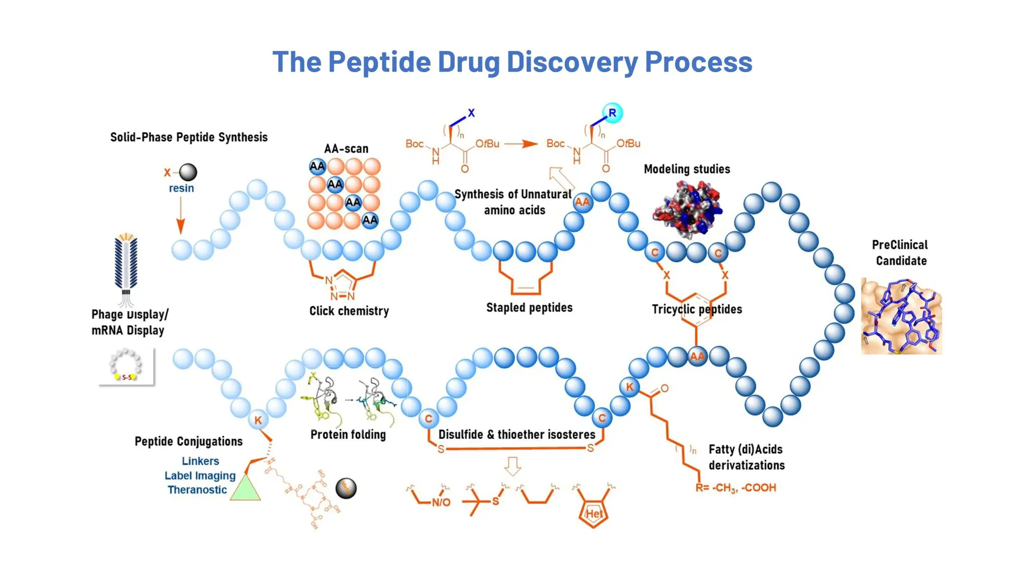 How to Cycle Research Peptides